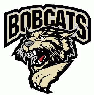 bismarck bobcats 2006-pres primary logo iron on transfers for clothing